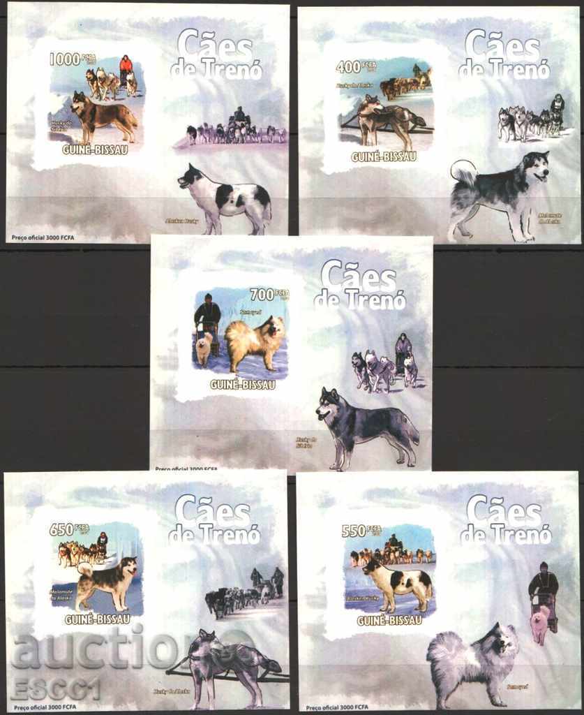 Blocuri curate Fauna Câini 2009 din Guineea-Bissau