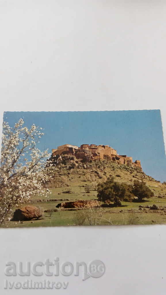 Postcard Ida Iglik Gnidif Bezirk Tafraout 1976