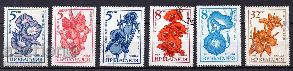 1985. Bulgaria. Regular. Flori de grădină.