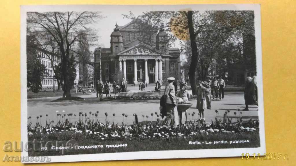 Old Postcard Sofia
