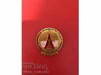 Badge scientific organization productions labor Moscow 1973 USSR