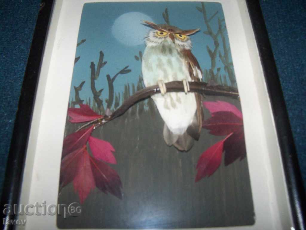 Auction  Beautiful three-dimensional picture of owl
