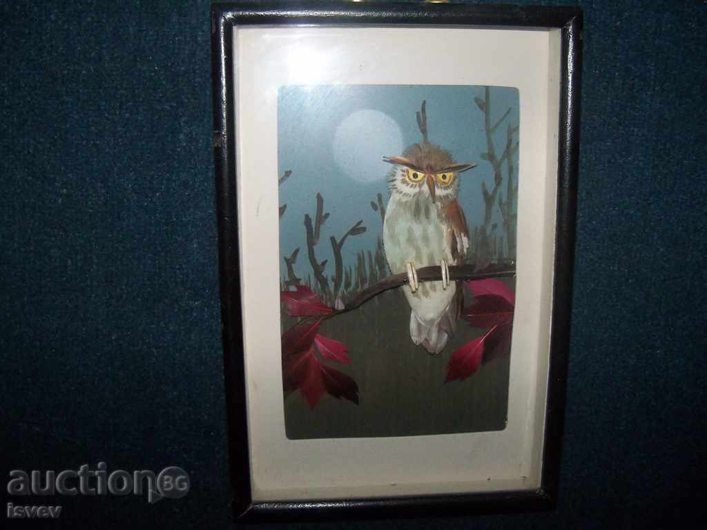 Delivery of Beautiful three-dimensional picture of owl