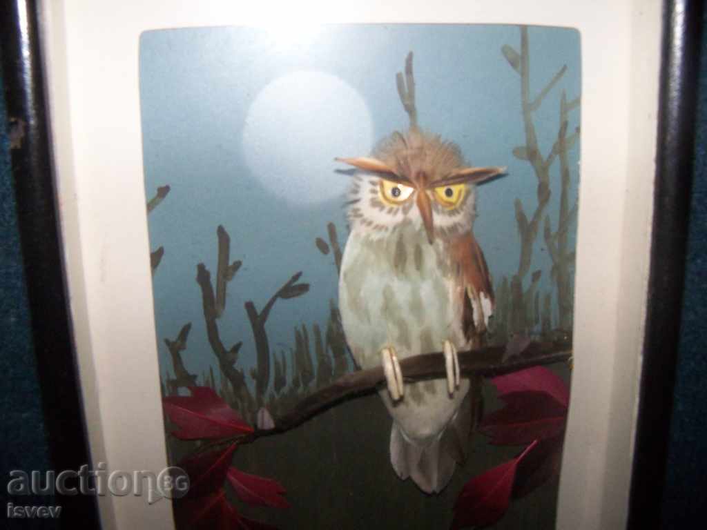 Beautiful three-dimensional picture of owl - 5