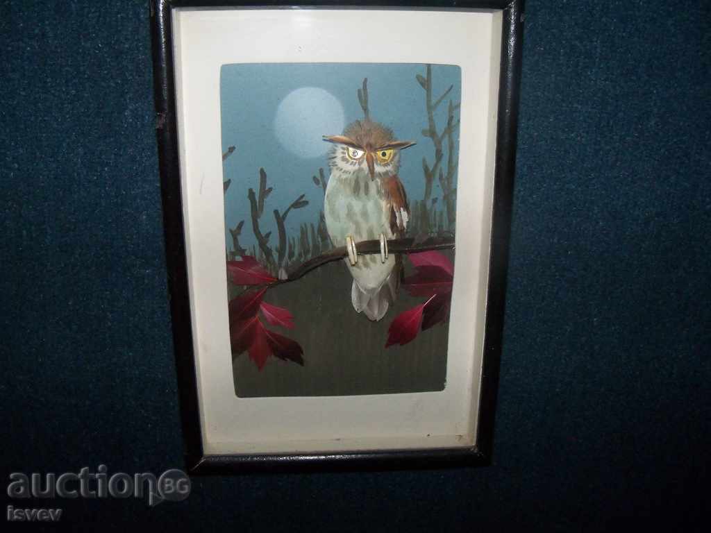 Beautiful three-dimensional picture of owl - 6