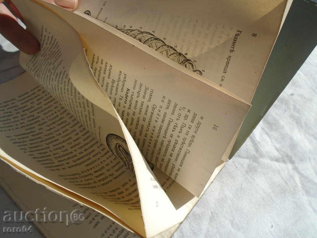 Auction NATURAL KNOWLEDGE FOR SECOND COURSE Auction NATURAL KNOWLEDGE FOR SECOND COURSE