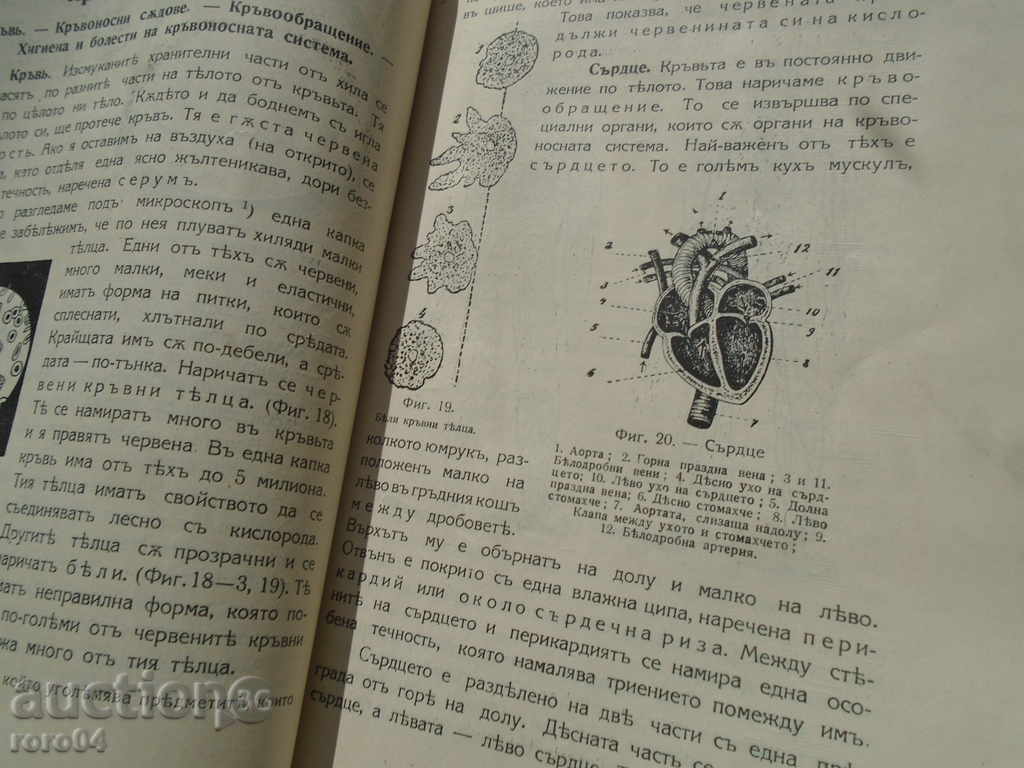 Delivery of NATURAL KNOWLEDGE FOR SECOND COURSE Delivery of NATURAL KNOWLEDGE FOR SECOND COURSE