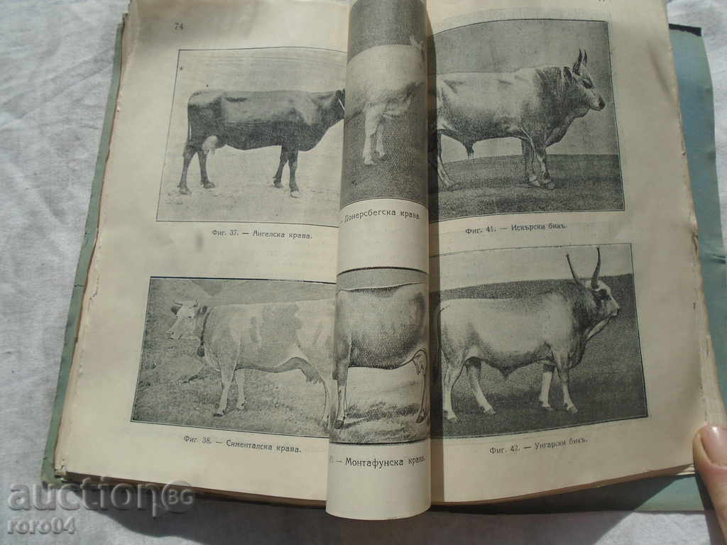 NATURAL KNOWLEDGE FOR SECOND COURSE - 5 NATURAL KNOWLEDGE FOR SECOND COURSE - 5