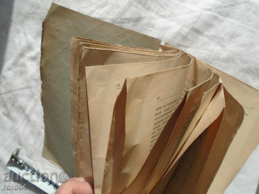 THE LIFE OF THE CHILD - NP Gundudinna - 1904 - 5 THE LIFE OF THE CHILD - NP Gundudinna - 1904 - 5