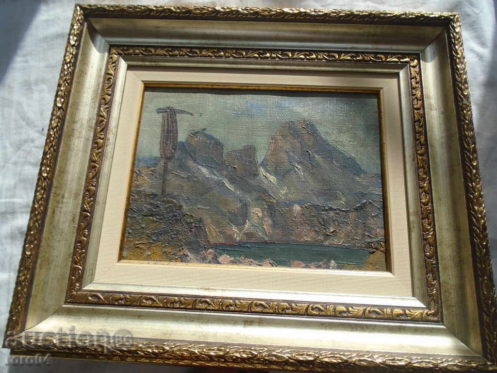 Licitație MALYOVYTSA - LACUL MALYOVYSHKO Licitație MALYOVYTSA - LACUL MALYOVYSHKO