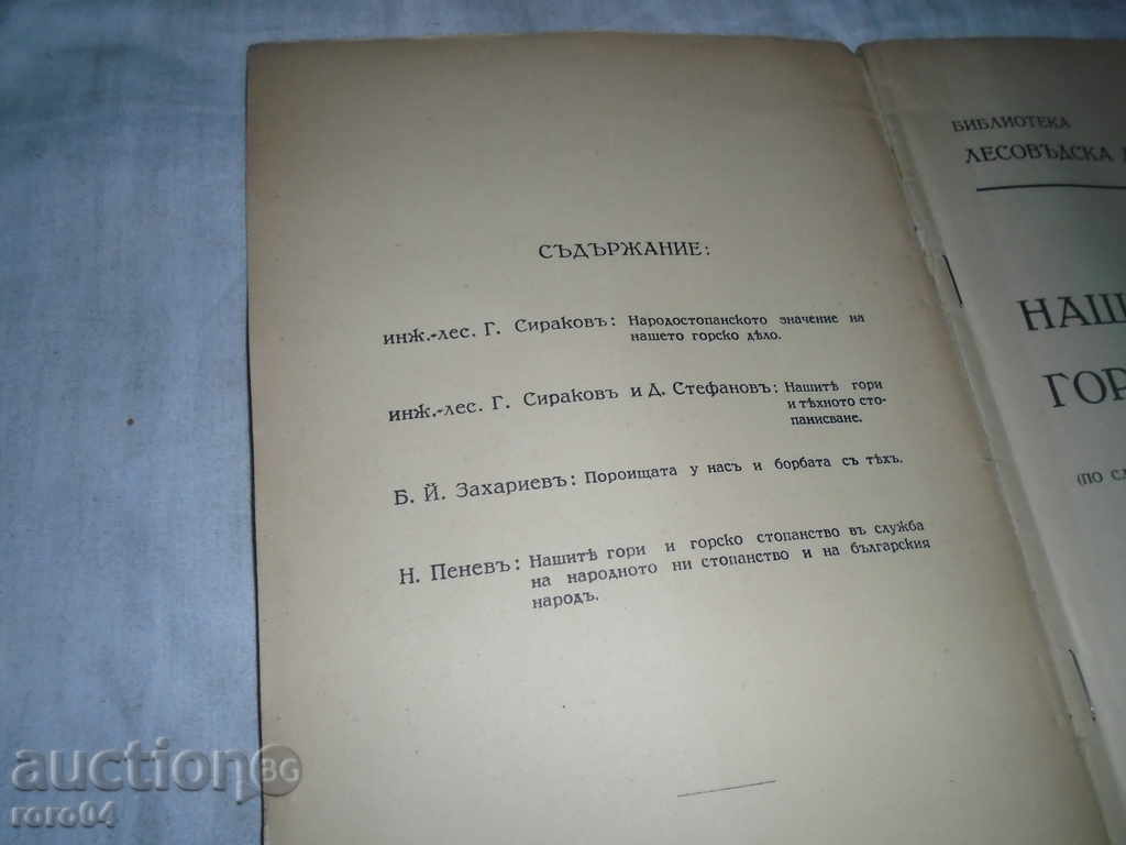 Auction  FORESTRY THOUGHT № 1 - OUR FORESTRY