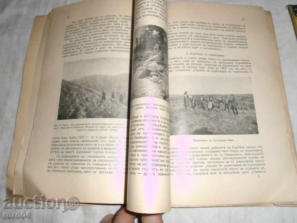 FORESTRY THOUGHT № 1 - OUR FORESTRY - 5