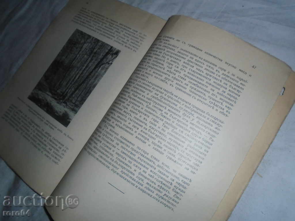 FORESTRY THOUGHT № 1 - OUR FORESTRY - 6