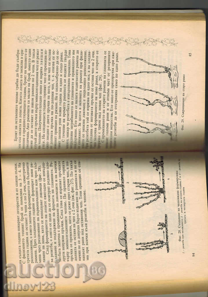 Delivery of VINEYARD FOR ALL - M. NIKOV Delivery of VINEYARD FOR ALL - M. NIKOV