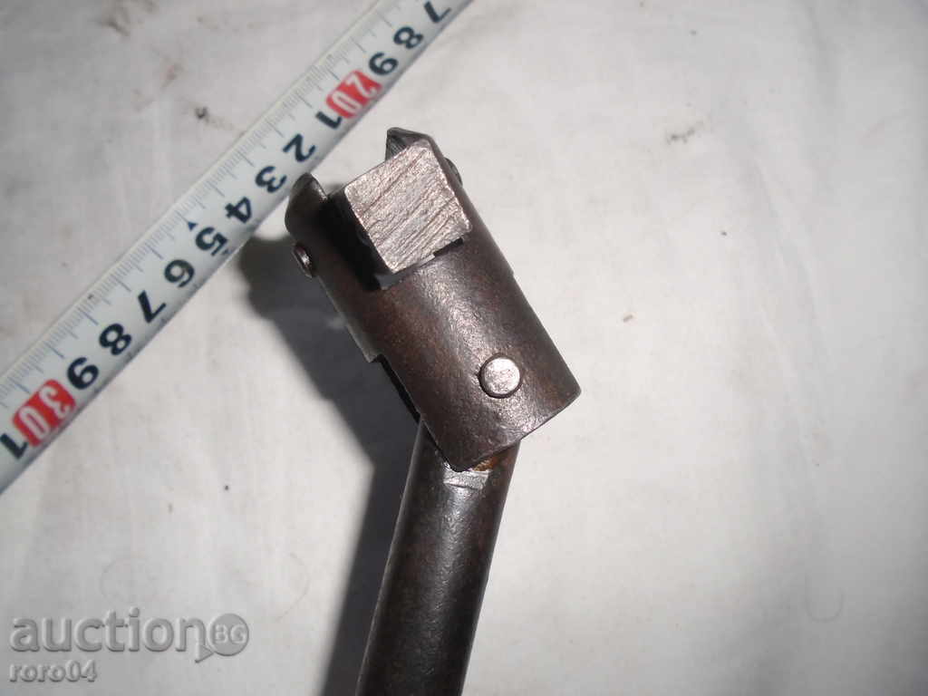 OLD DEAR FRONT FOR A GUIDE WITH LOVING HEAD - 5 OLD DEAR FRONT FOR A GUIDE WITH LOVING HEAD - 5