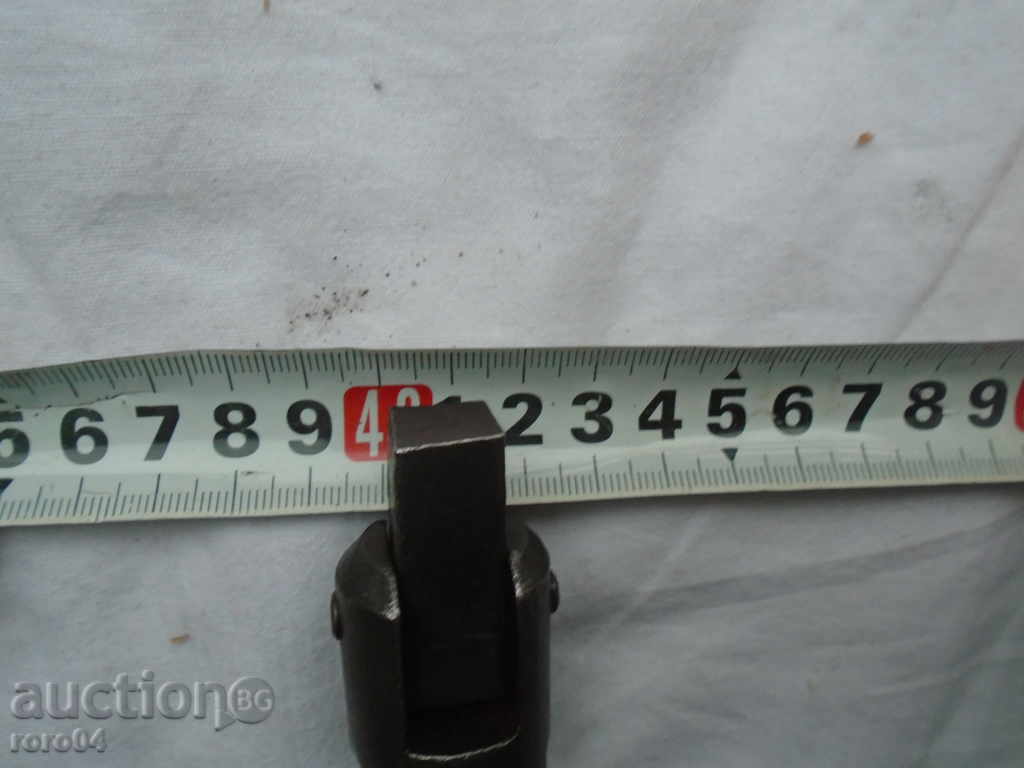 OLD DEAR FRONT FOR A GUIDE WITH LOVING HEAD - 6 OLD DEAR FRONT FOR A GUIDE WITH LOVING HEAD - 6