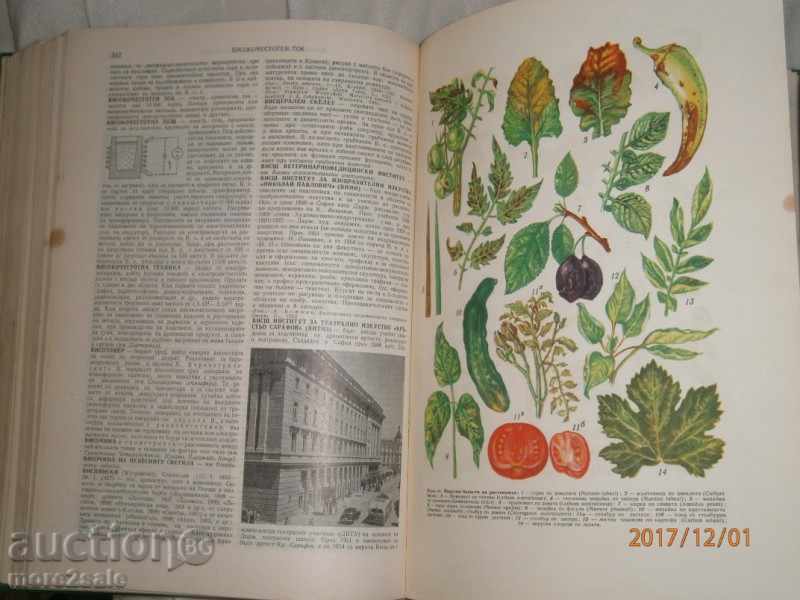 Auction SHORT BULGARIAN ENCYCLOPEDIA - THOM 1 - BAS - 636 СТР - 1963 Auction SHORT BULGARIAN ENCYCLOPEDIA - THOM 1 - BAS - 636 СТР - 1963