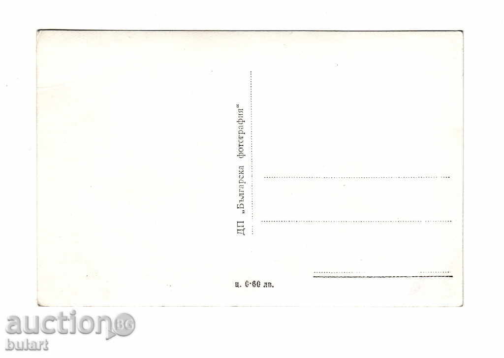 Picture Postcard Photo Velingrad with price 15.00 BGN | € 7.67 Picture Postcard Photo Velingrad with price 15.00 BGN | € 7.67