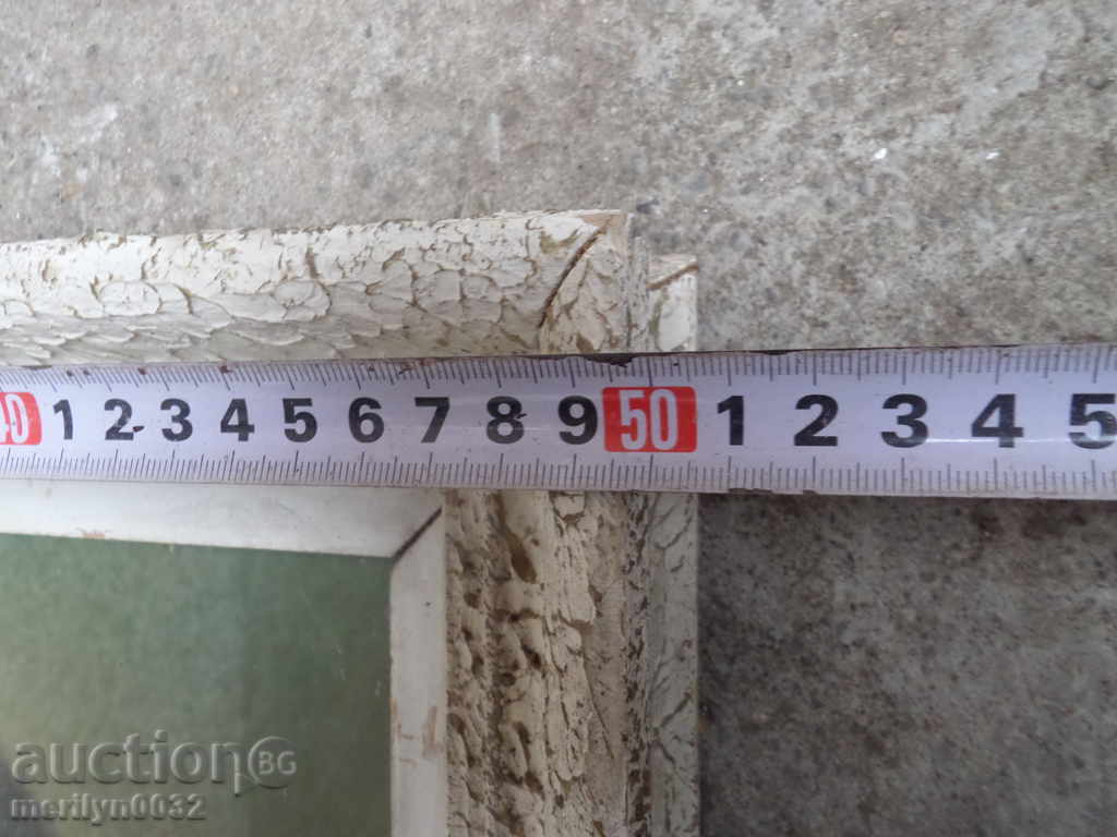 A portrait of Lilyana Dimitrova posters a photo 5 of the PMC - 6