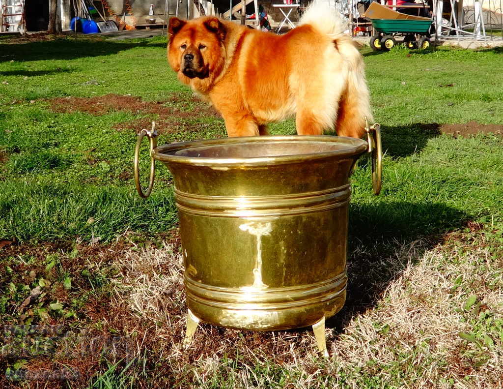 Bronze cauldron, ladle, wood container, flower pot 30 liters - 6