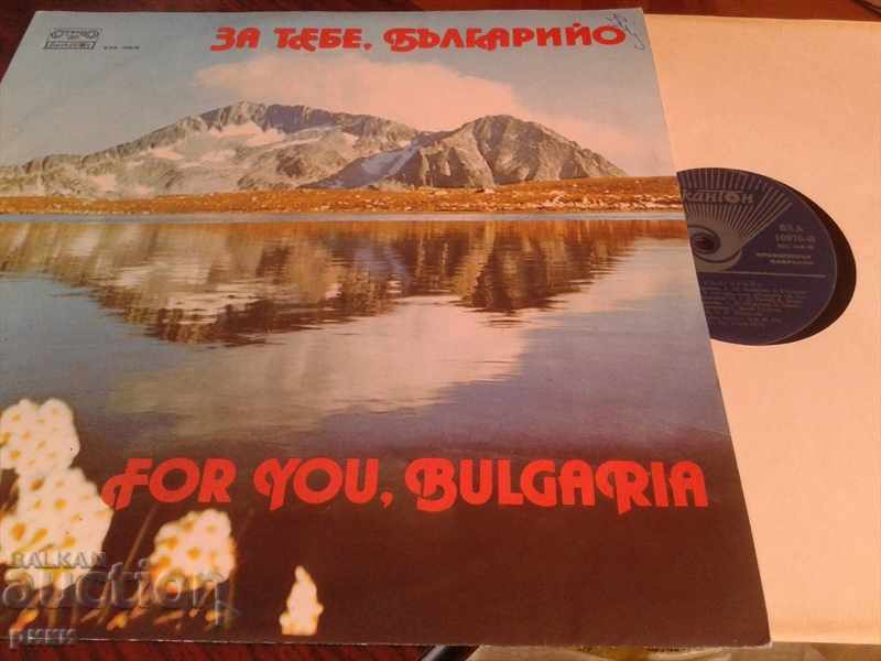 BXA 10976 For You, Bulgaria BXA 10976 For You, Bulgaria