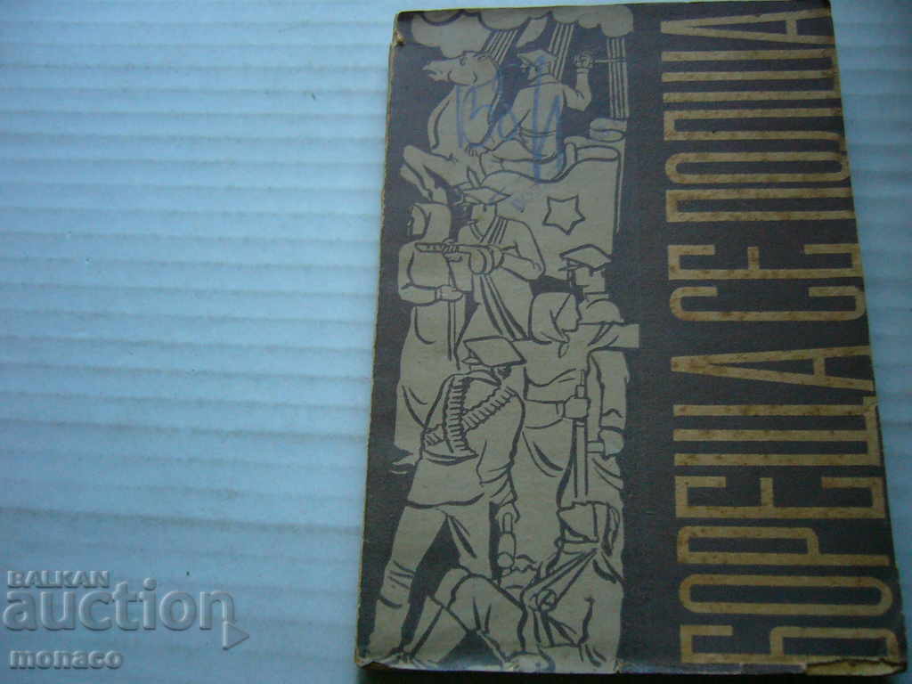 Antique Book - Fighting Poland - Collection