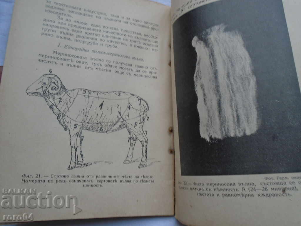 WAVE QUALITY ASSESSMENT - TODOR SAVOV - 5 WAVE QUALITY ASSESSMENT - TODOR SAVOV - 5