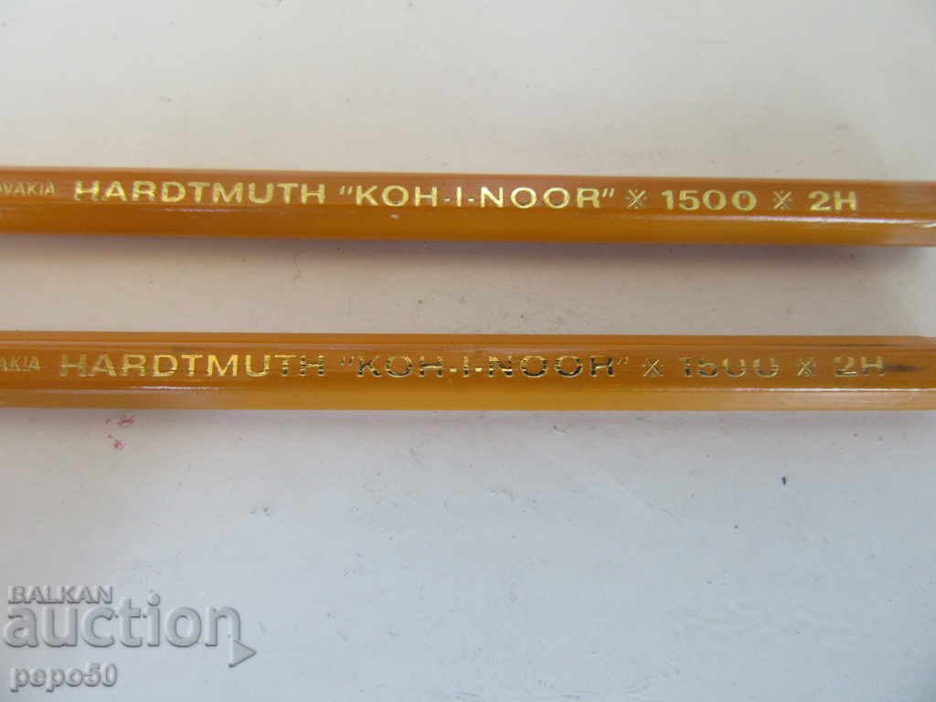 2 pcs. BLACK MOLIES "COHINOR" with price 3.00 BGN | € 1.53