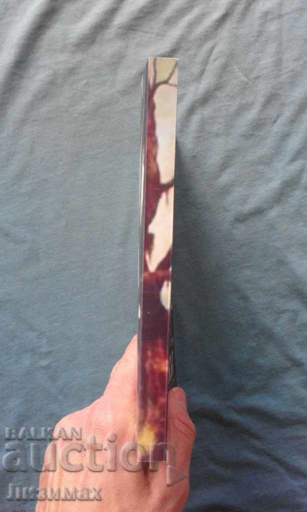 Asen Stoyanov - The Hermit. Retrospective novel allegory with price 4.99 BGN | € 2.55