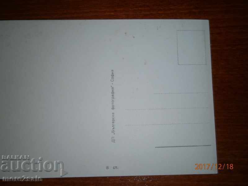 POSTAL CARD WITH ARTISTS - MARIA SHEL - NOT TRAVELED with price 0.85 BGN | € 0.43 POSTAL CARD WITH ARTISTS - MARIA SHEL - NOT TRAVELED with price 0.85 BGN | € 0.43