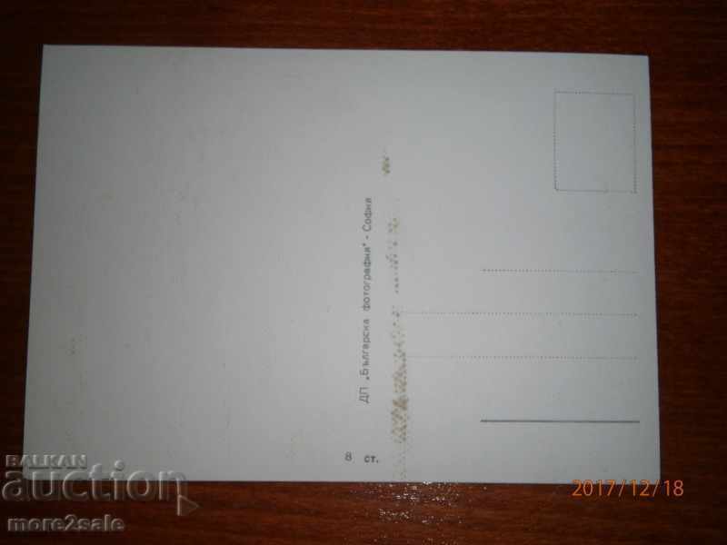 POSTAL CARD WITH ARTISTS - LARGE CARON - NOT TO GO with price 0.80 BGN | € 0.41 POSTAL CARD WITH ARTISTS - LARGE CARON - NOT TO GO with price 0.80 BGN | € 0.41