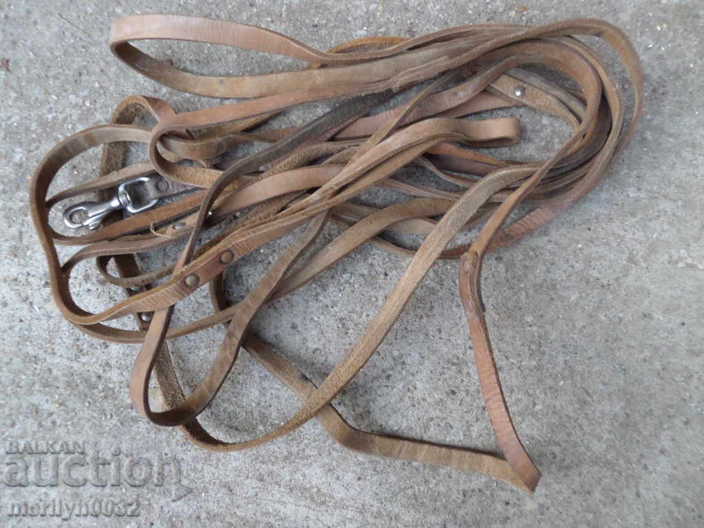 Long strap for dropping dogs in holes caves 9.7 meters with price 72.00 BGN | € 36.81 Long strap for dropping dogs in holes caves 9.7 meters with price 72.00 BGN | € 36.81