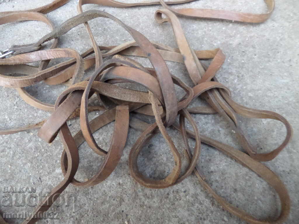 Long strap for dropping dogs in holes caves 9.7 meters - 6 Long strap for dropping dogs in holes caves 9.7 meters - 6