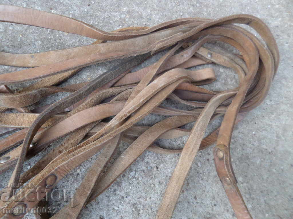 Long strap for dropping dogs in holes caves 9.7 meters - 7 Long strap for dropping dogs in holes caves 9.7 meters - 7