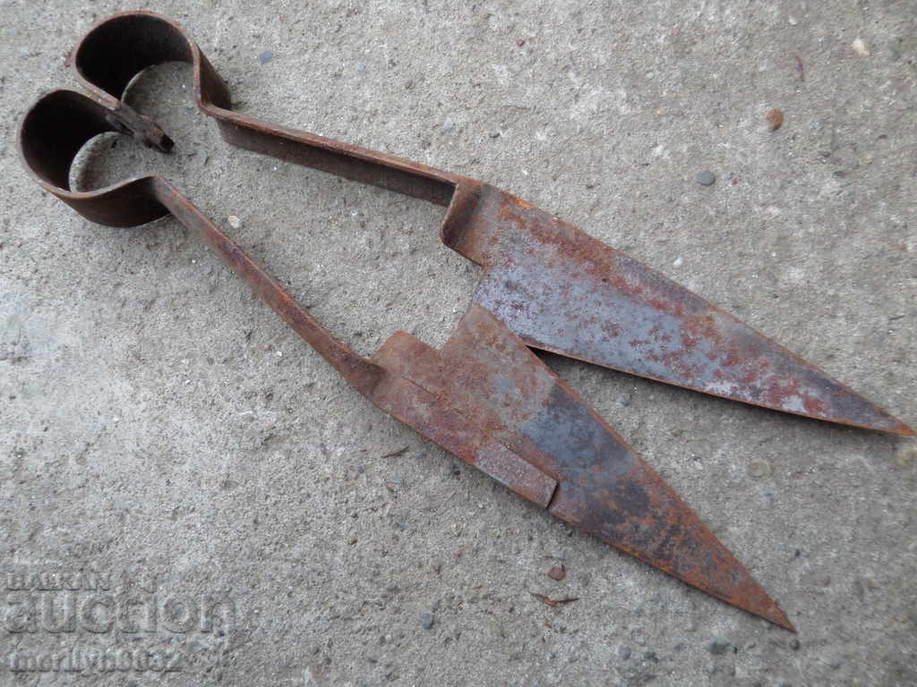 Auction Old shearing scissors mid-twentieth century Auction Old shearing scissors mid-twentieth century