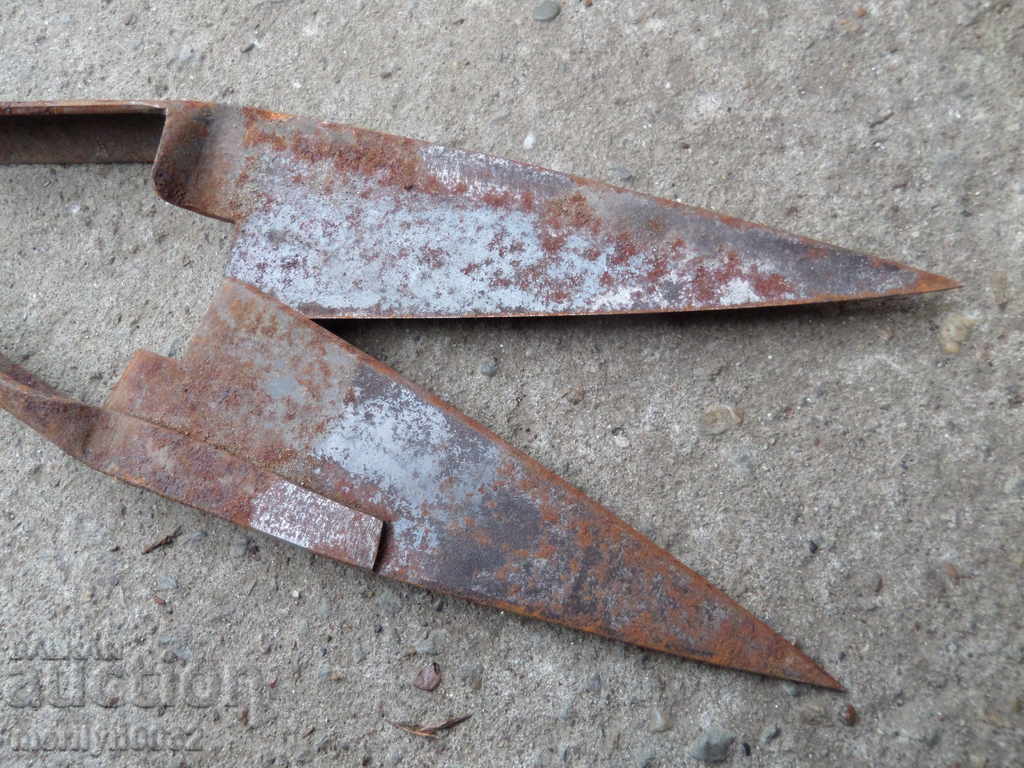 Delivery of Old shearing scissors mid-twentieth century Delivery of Old shearing scissors mid-twentieth century