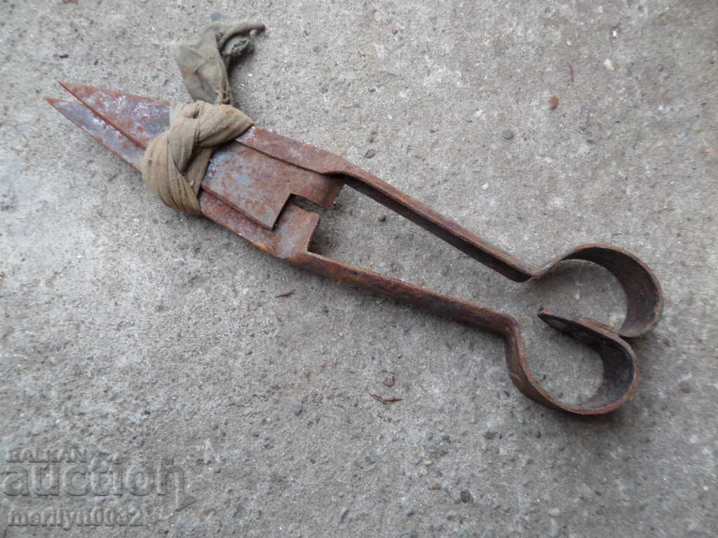 Old shearing scissors mid-twentieth century - 5 Old shearing scissors mid-twentieth century - 5