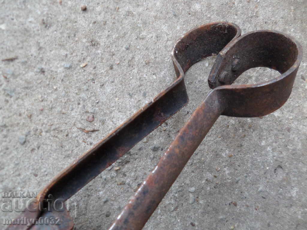 Old shearing scissors mid-twentieth century - 6 Old shearing scissors mid-twentieth century - 6