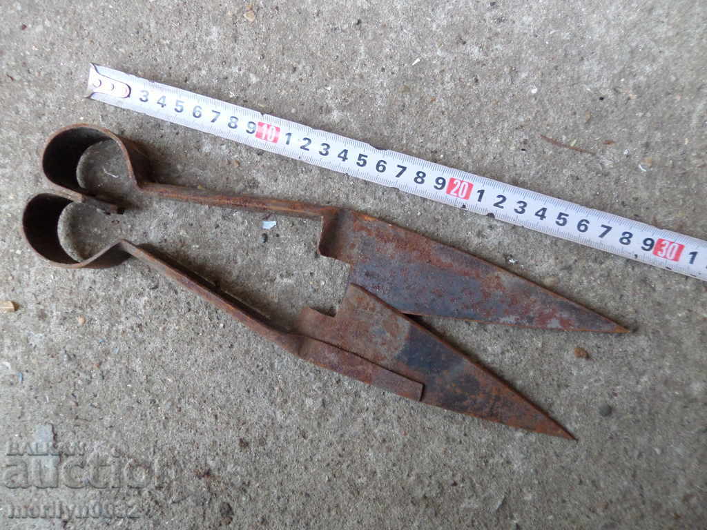 Old shearing scissors mid-twentieth century - 7 Old shearing scissors mid-twentieth century - 7