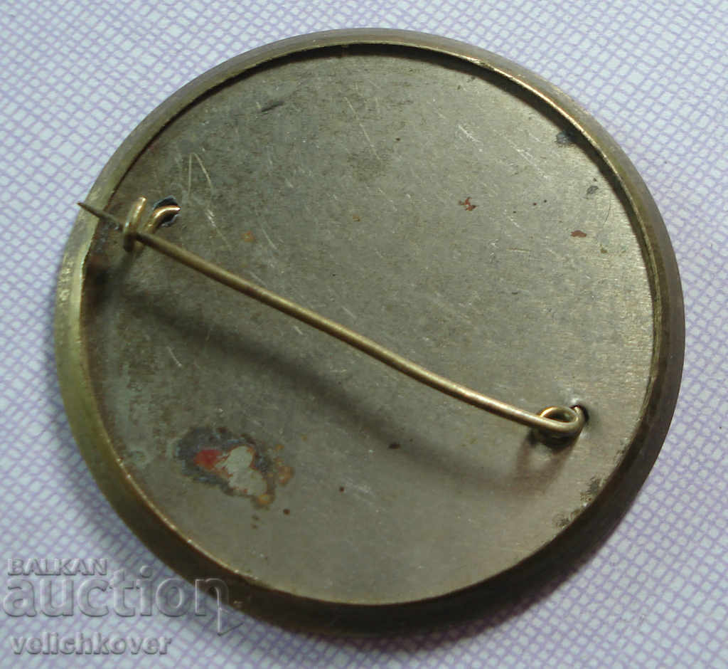 17718 Ladies' brooch with Egyptian motifs and pharaoh from the 1960s with price 2.00 BGN | € 1.02 17718 Ladies' brooch with Egyptian motifs and pharaoh from the 1960s with price 2.00 BGN | € 1.02