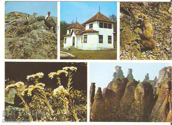 Καρτ ποστάλ Βουλγαρία Belogradchik Μουσείο Φυσικής Ιστορίας *