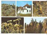 Carte poștală Bulgaria Belogradchik Natural History Museum *
