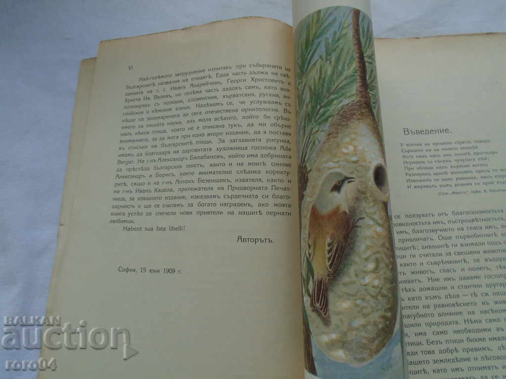 Licitație PĂSĂRI NOASTRE - bulgarica ORNIS - E. KLEIN - 1909 RRR