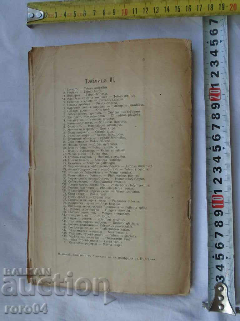 PĂSĂRI NOASTRE - bulgarica ORNIS - E. KLEIN - 1909 RRR - 6