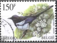 μάρκα Kleymovana Bird Πανίδας του 1997 από το Βέλγιο