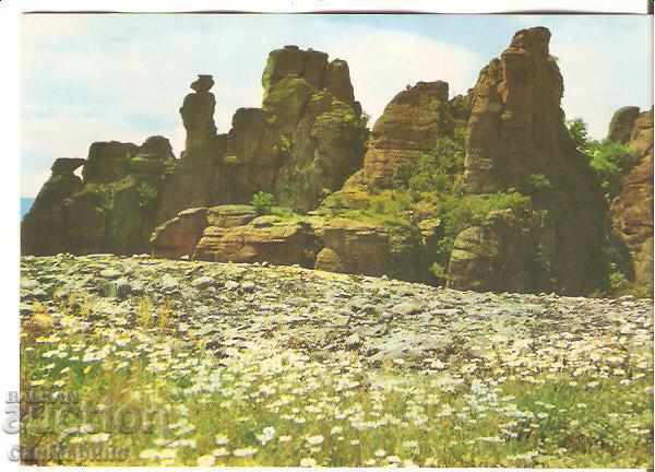 Carte poștală Bulgaria Belogradchik Rocks 13 *
