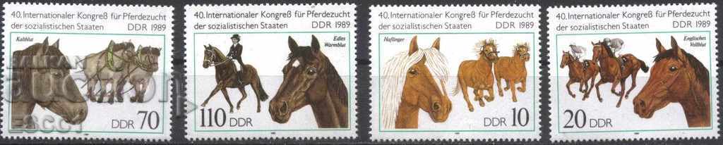 Clean Fauna Fauna Horses 1989 GDR East Germany