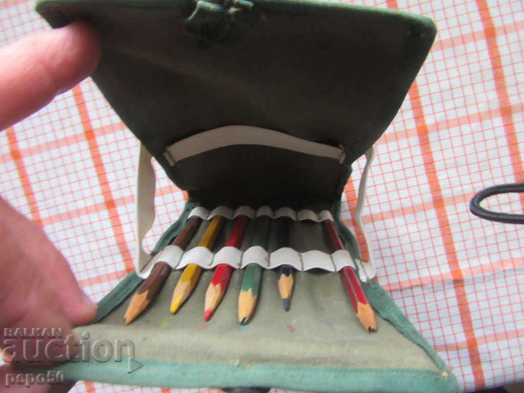 Auction  OFFICIAL PLANTS FOR DRAWING / 12 X 23 cm /