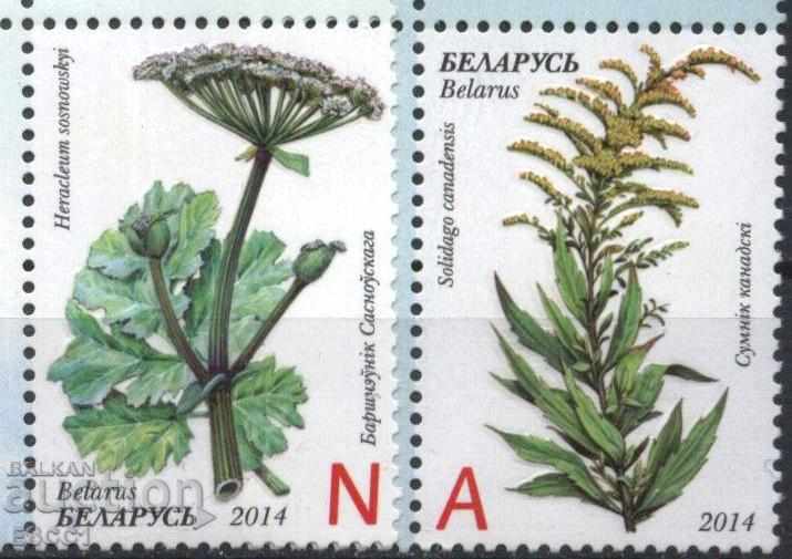 Чисти марки  Флора Билки   2014  от  Беларус