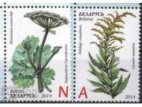 Чисти марки  Флора Билки   2014  от  Беларус